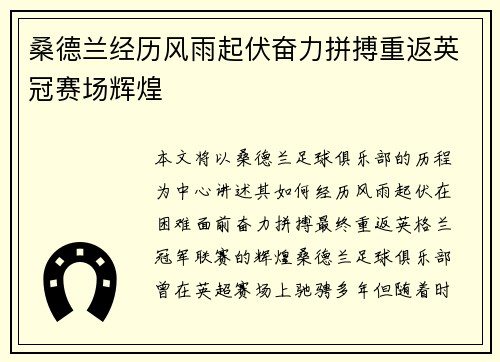 桑德兰经历风雨起伏奋力拼搏重返英冠赛场辉煌 桑德兰经历风雨起伏奋力拼搏重返英冠赛场辉煌